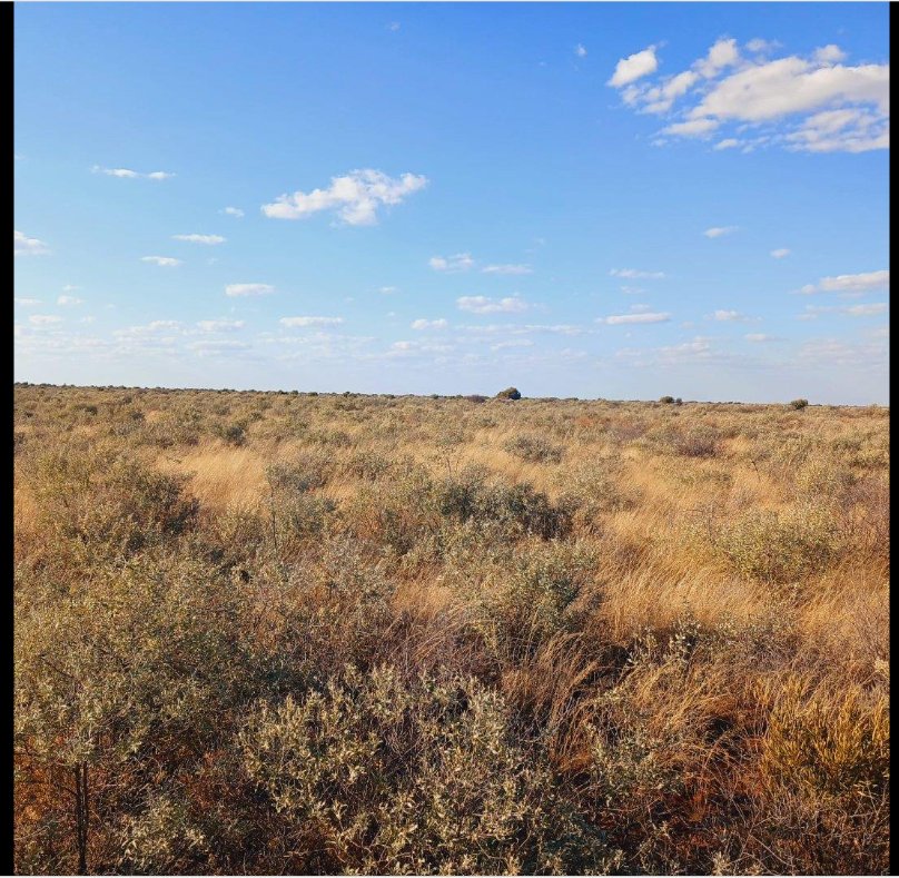 Commercial Property for Sale in Barkly West Rural Northern Cape